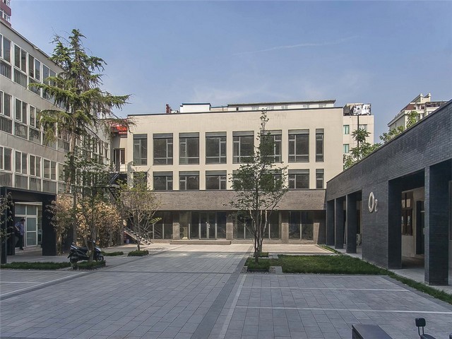 工地农业爬山虎销售方法